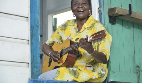 CALYPSO ROSE